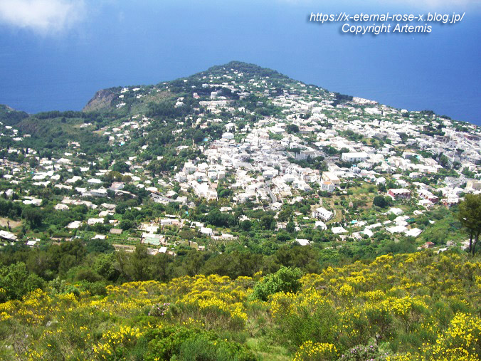11.5.31.6 モンテソラーロ ソラ―ロ山 チェアリフト  (30)