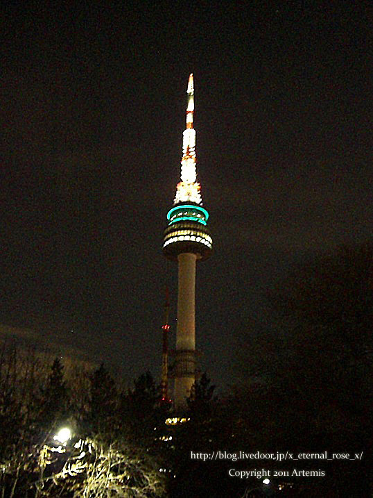 9.11.12.8 Nソウルタワー  (10)