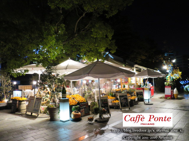 21 スズカフェ  (35)