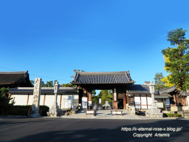 19.11.23.4.1 妙心寺 (1)