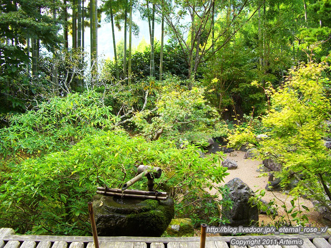 10.10.18.5 宝泉院  (13)