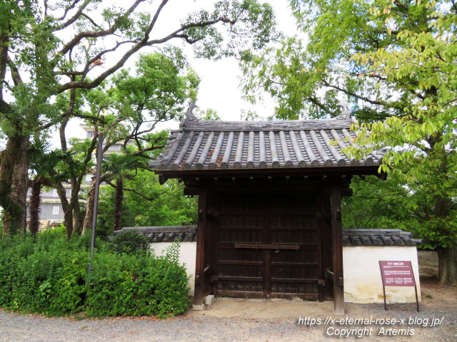 20.10.11.3 岡山城  (29)