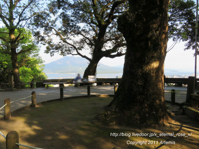 20.10.31.8 城山公園展望台  (18)