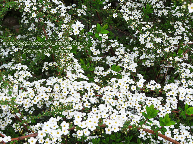 20.3.19.4 京福電鉄嵐山駅 (12)