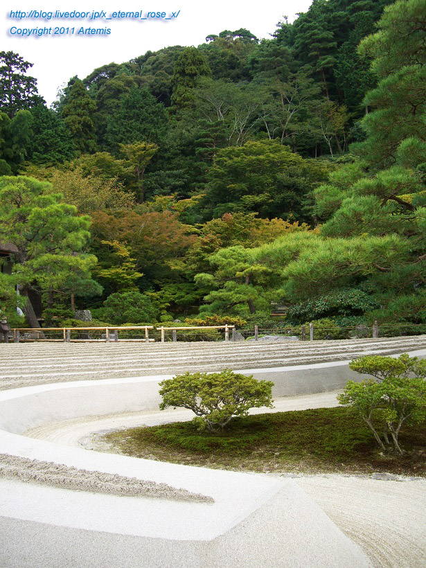 10.10.19.1 銀閣寺 (10)