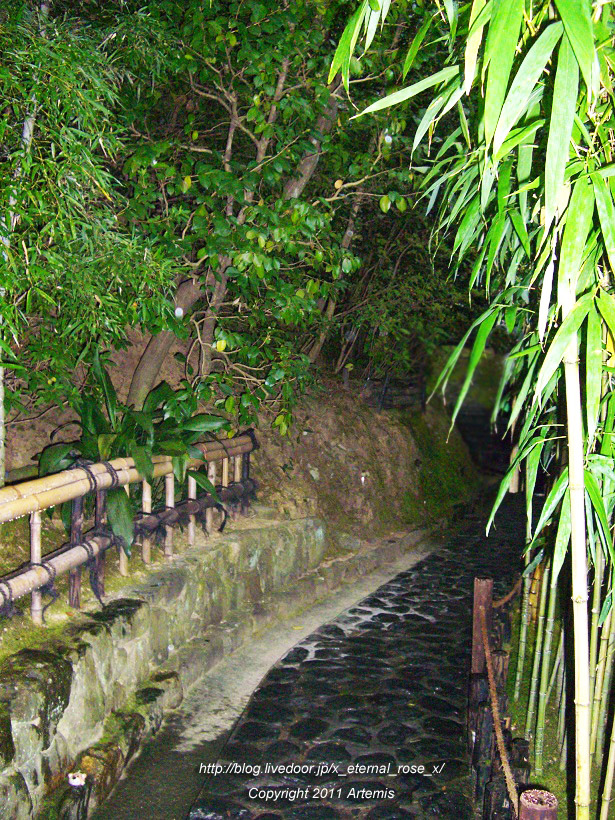 10.10.24.4 鈴虫寺 (22)