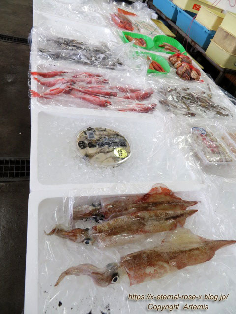 22.3.19 魚河岸吉又 (4)