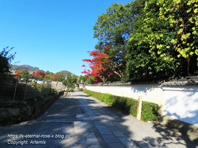 19.11.23.4 大雄院 (59)