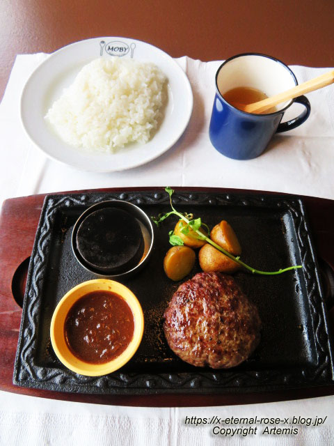 22.5.28 MOBYダイニング　北長瀬店  (33)