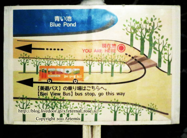 18.11.21.9 青い池  (75)