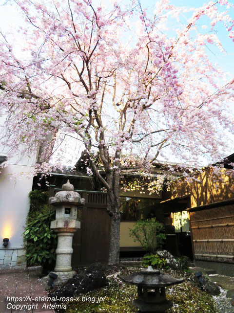 22.4.7 sonoka そばの実スイーツ  (76)