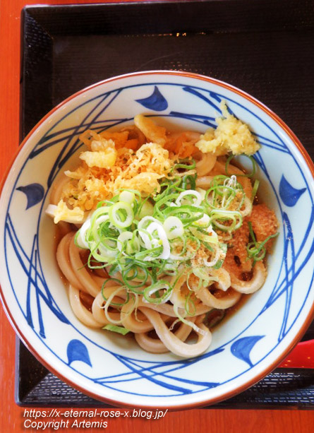 23.8.16 丸亀製麺 十日市店 (23)