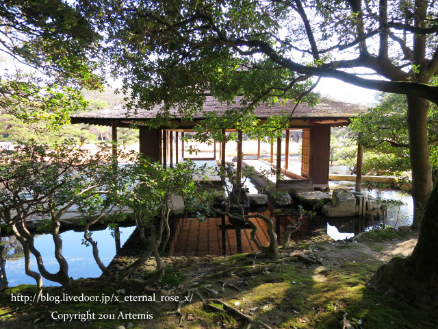 19.1.1.1 後楽園  (40)