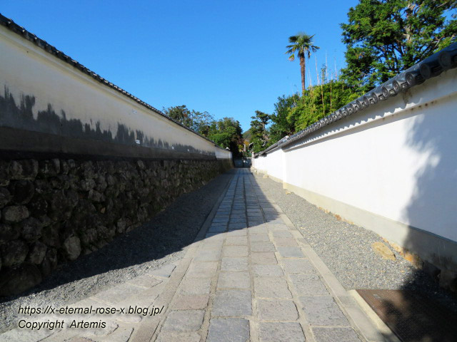 19.11.23.5 海福院 (3)