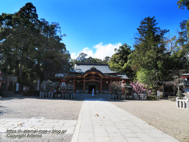 23.3.2.4 長岡天満宮 (4)