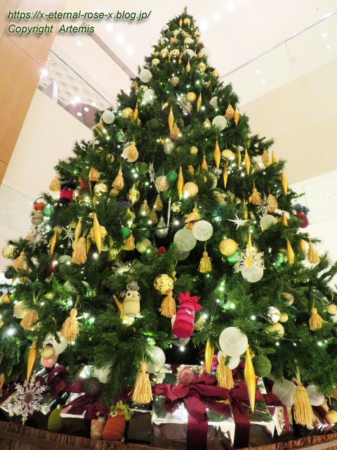 21.11.26.15 カフェ33 (57)