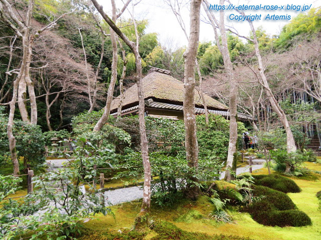 20.3.19.9 祇王寺  (14)