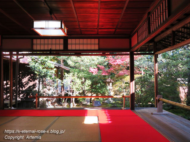 19.11.23.4 大雄院 (25)