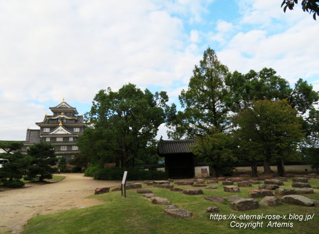 20.10.11.3 岡山城  (27)