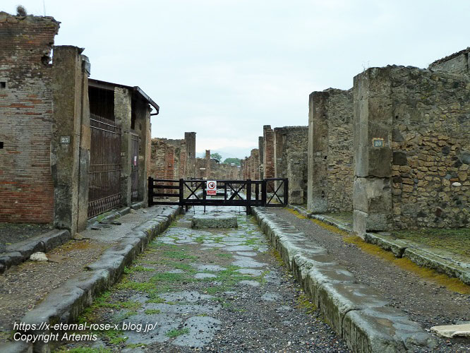 11.6.1.5.... ポンペイ遺跡 ヴェスパシアノ神殿 (37)