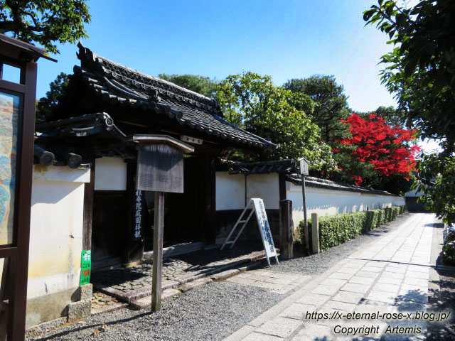 19.11.23.1妙心寺  (14)
