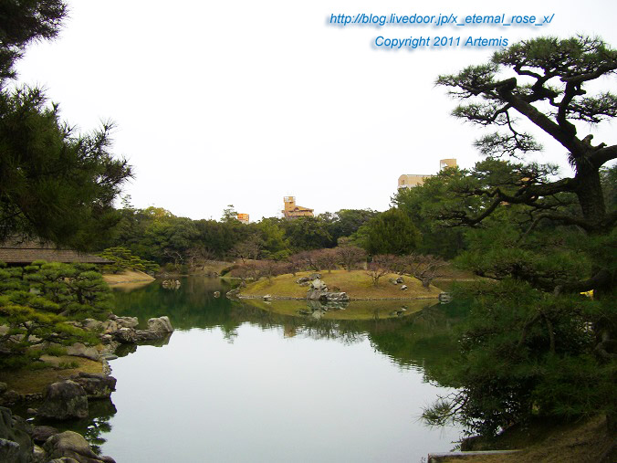 11.2.20 栗林公園 (29)