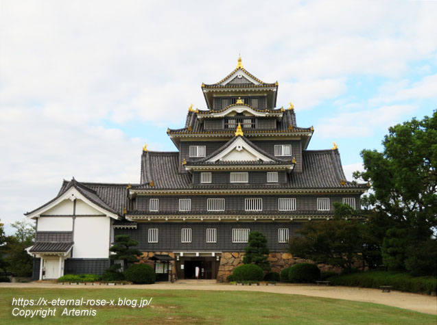 20.10.11.3 岡山城  (25)