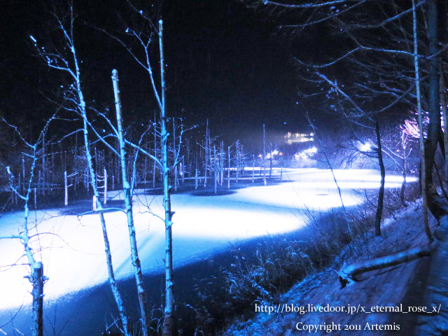 18.11.21.9 青い池  (63)