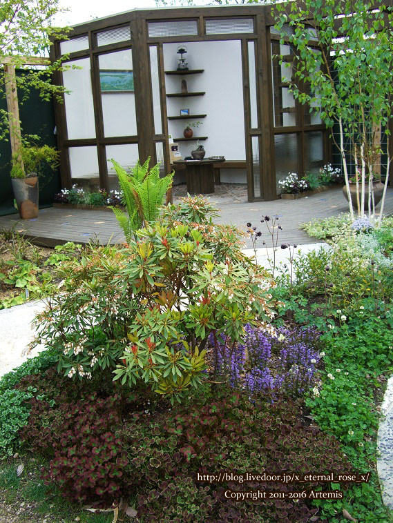 27 おかやま花だより  (24)