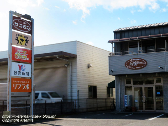 22.12.25 サフラン  (22)