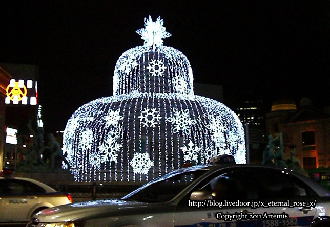 9.11.12.10 リッツカールトン  (9)