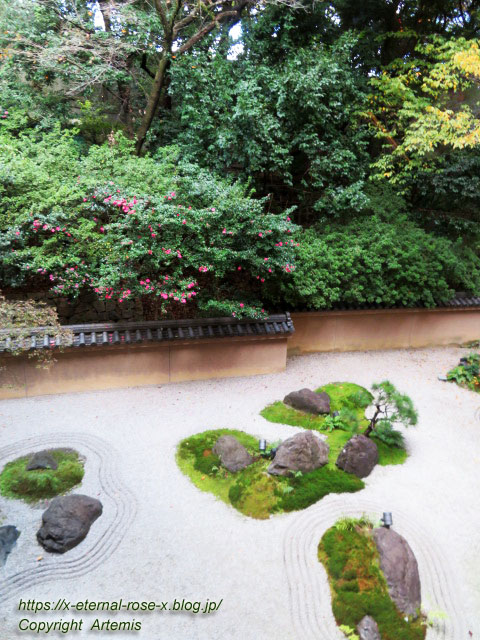 21.11.26.15 カフェ33 (47)