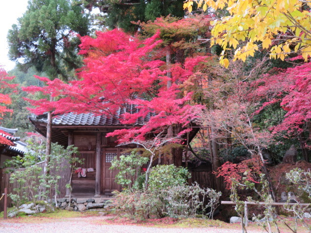 19.11.27 高雄 神護寺 (145)