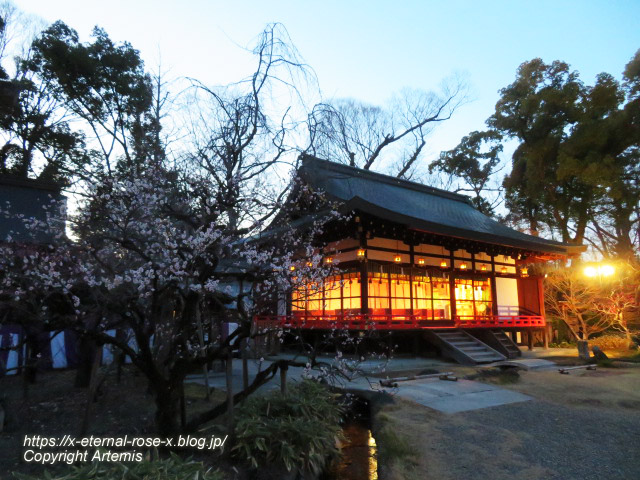 23.3. 北野天満宮 (25)