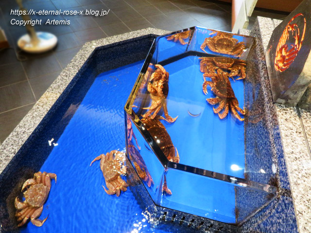 19.9.16 かに道楽 岡山本店  (51)
