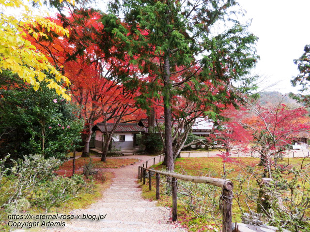 19.11.27 高雄 神護寺  (140)