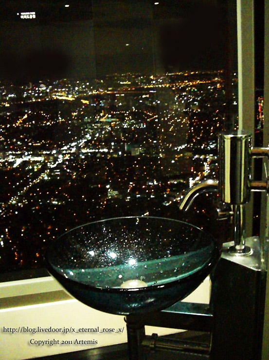 9.11.12.8 Nソウルタワー  (19)