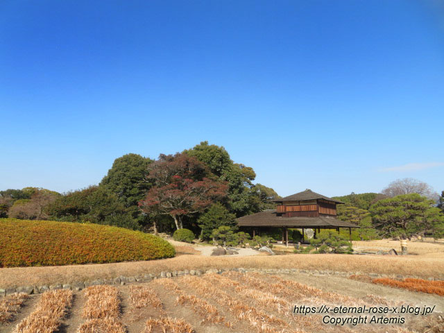 23.1.1 岡山後楽園  (90)