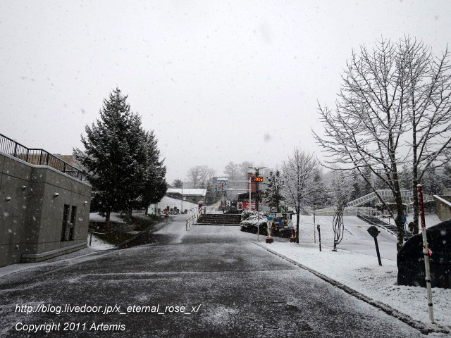 18.11.22.18 旭山動物園  (41)