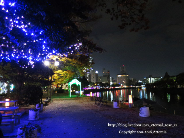 21 スズカフェ  (38)