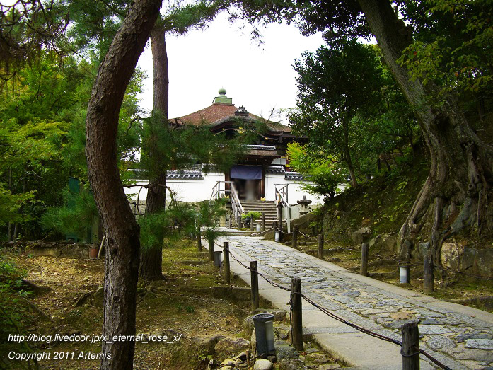 10.10.20.9 高台寺  (30)