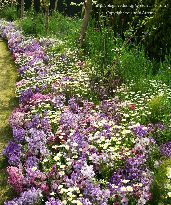 27 おかやま花だより  (16)