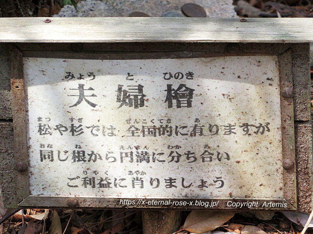22.3.5.2 石上布都魂神社 (78)
