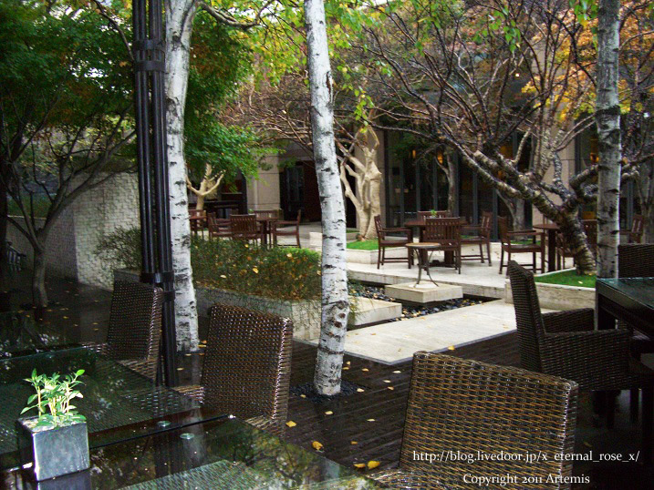 9.11.13 リッツ朝  (5)