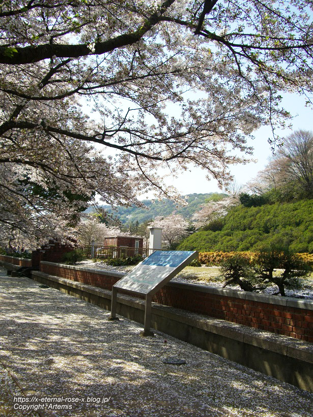 11.4.14.1 半田山植物園  (103)