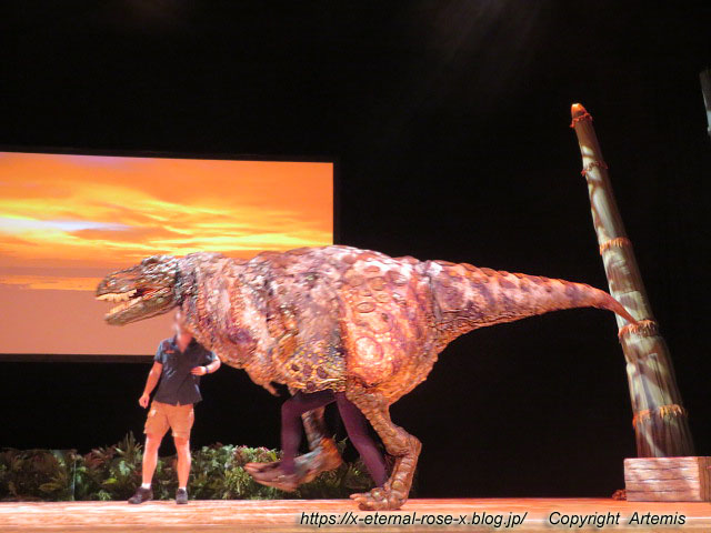 19.8.18.1 恐竜動物園 (80)