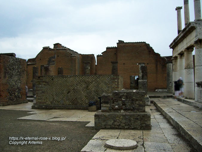 11.6.1.5.. ポンペイ遺跡 バジリカ (23)