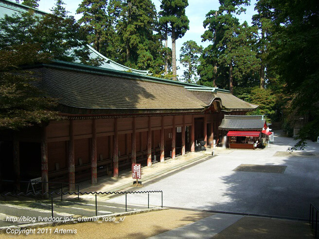 印象派画家の庭園と絵画 ガーデンミュージアム比叡 10 Eternal Rose エターナルローズ