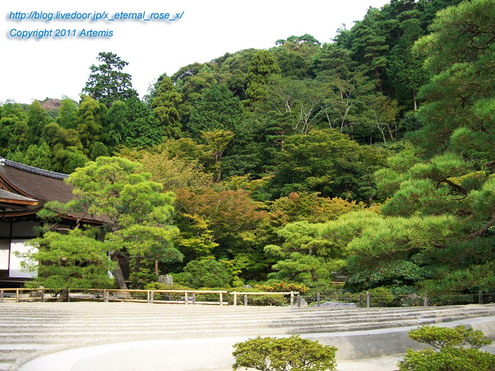 10.10.19.1 銀閣寺 (9)