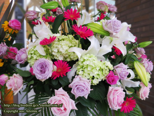 16.4.29.1 ドットカフェ  (14)